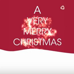 BRIDGES EXECUTIVE CENTRE wishes you a Merry Xmas & Happy 2013!