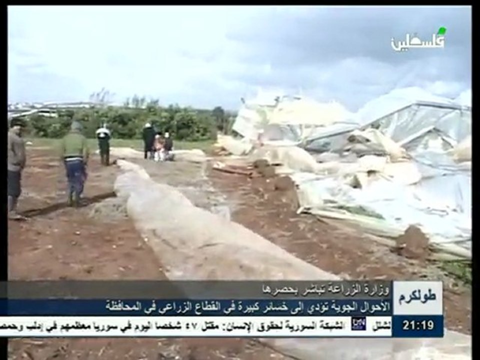 تقرير معين شديد
