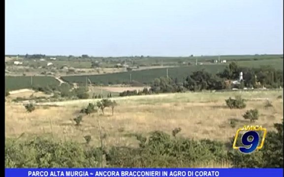 Parco Alta Murgia | Ancora bracconieri in Agro di Corato
