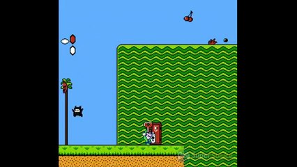 Super Mario Bros. 2 - Extrait du jeu