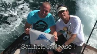 Miami Sailfish Fishing Charter | Video Shorts