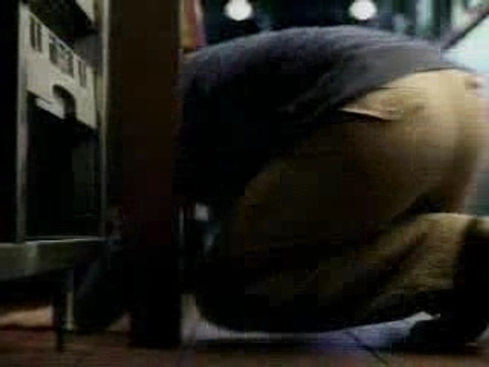 Derrière le bar