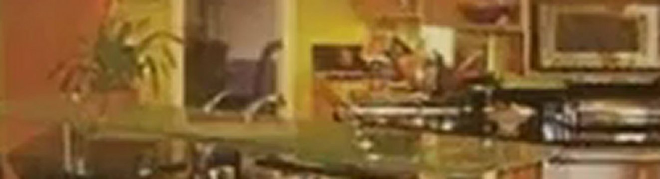 Radiant Restoration (407) 702-7752