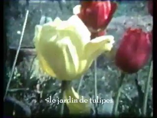 scenes de vie à sainte gemmes