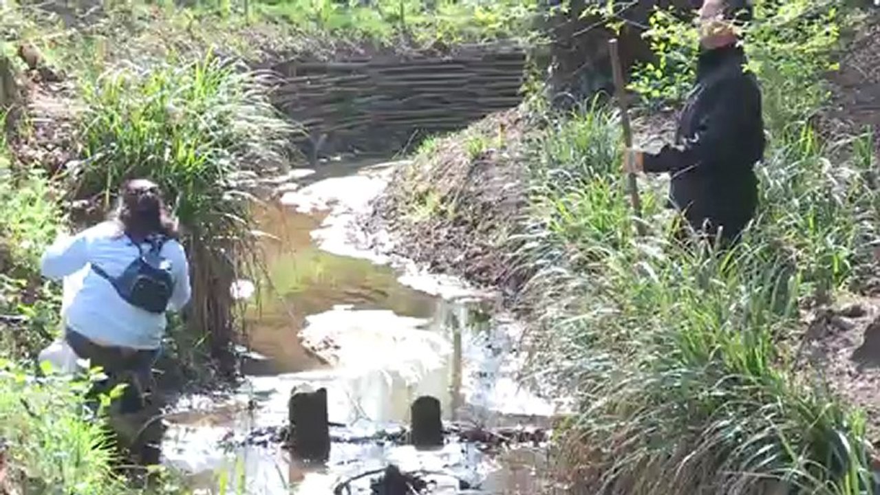 Nettoyage des bords de Jalles 2012 - semaine du développement durable