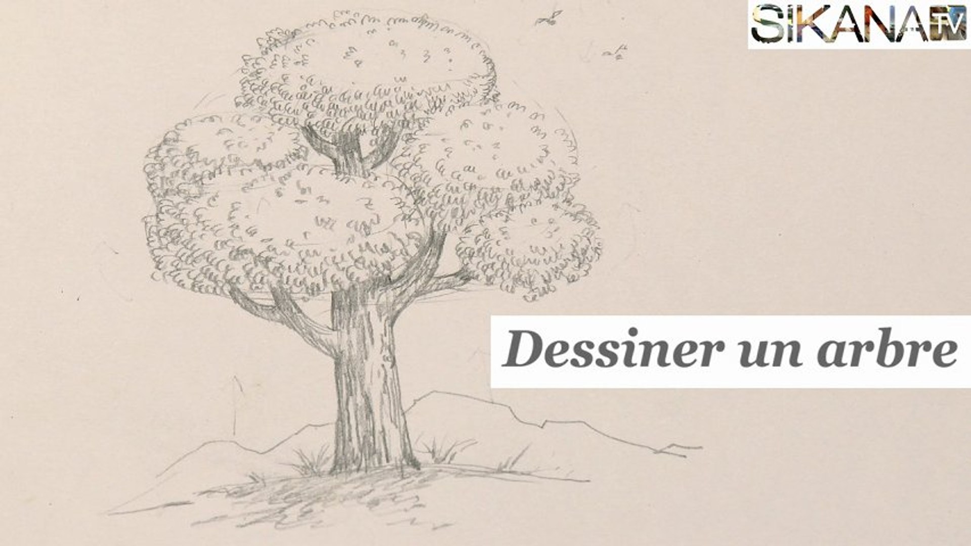 Facile Apprendre à Dessiner Un Arbre Comment dessiner un arbre ? - HD - Vidéo Dailymotion