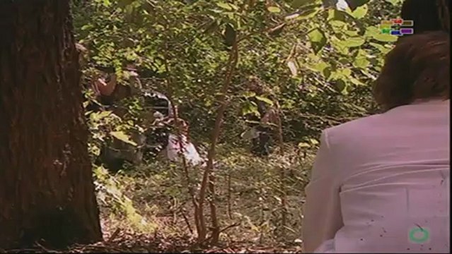 АНГЕЛИ 4 | 15.Епизода - Важноста на знамето (ЦЕЛА)