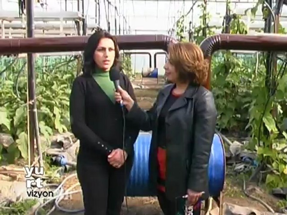 İPEKBEY MUZ VE ÇİLEK