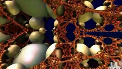 daims - boxes vs at the heart of the holy box