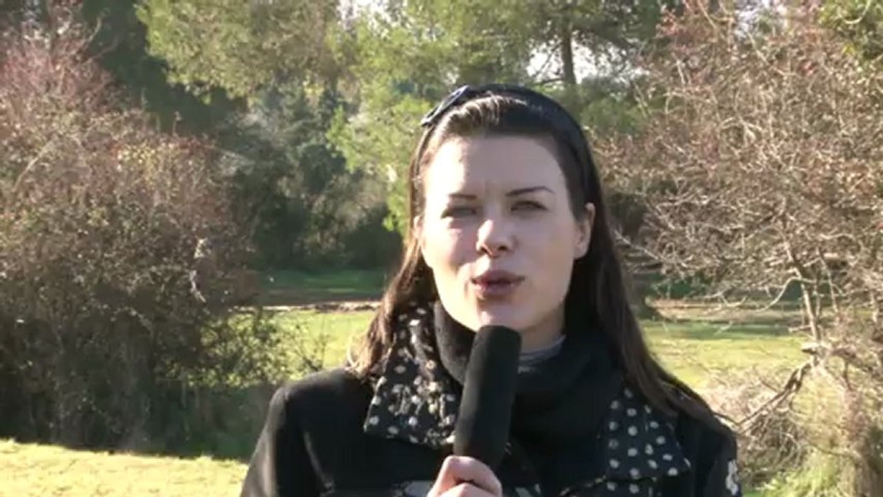 Vœux en vidéo