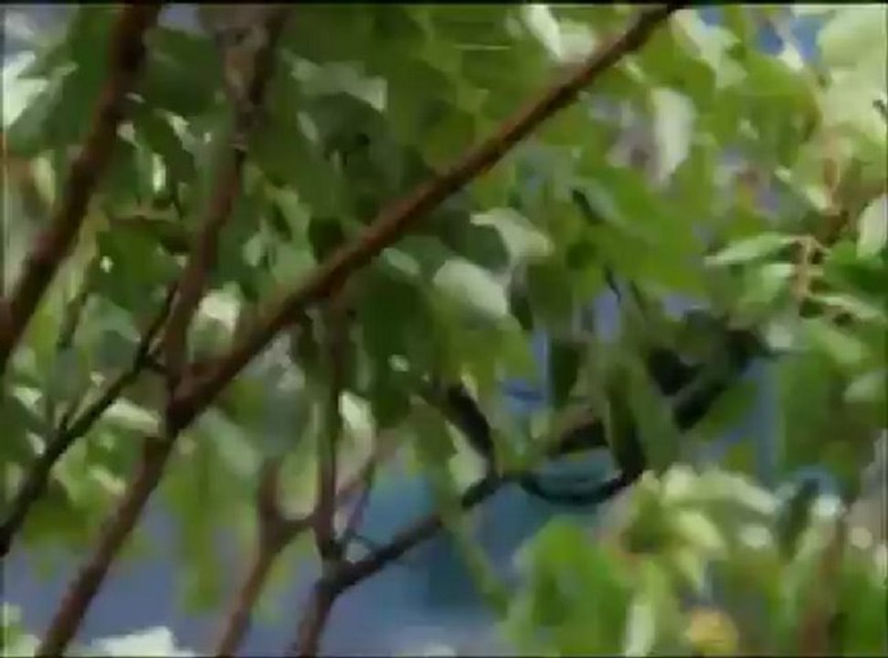 Karmate-Kara Duman- Klip NEW