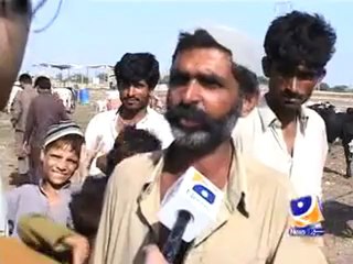 Cattle Market Karachi  Package.mp4