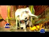 Geo Dost Promo 31 Oct 2011.mp4