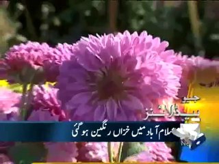 Geo Headline- 14 Dec 2011- 1200 (1).mp4