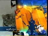 Geo Headline-27 Dec 2011-1800.mp4