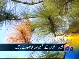 Geo Headline-28 Nov 2011-1400.mp4