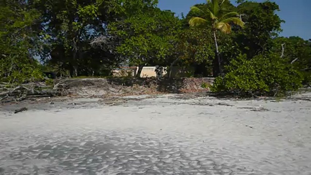 P1030356