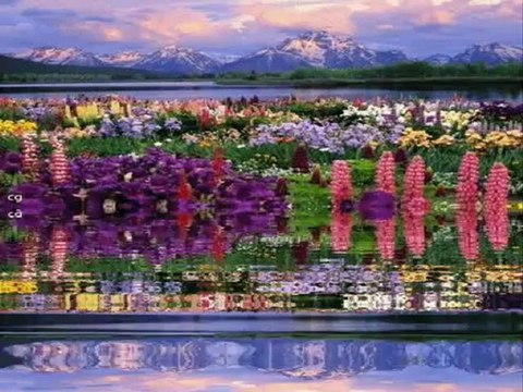 Farid Farjad Duygusal Fon Müziği