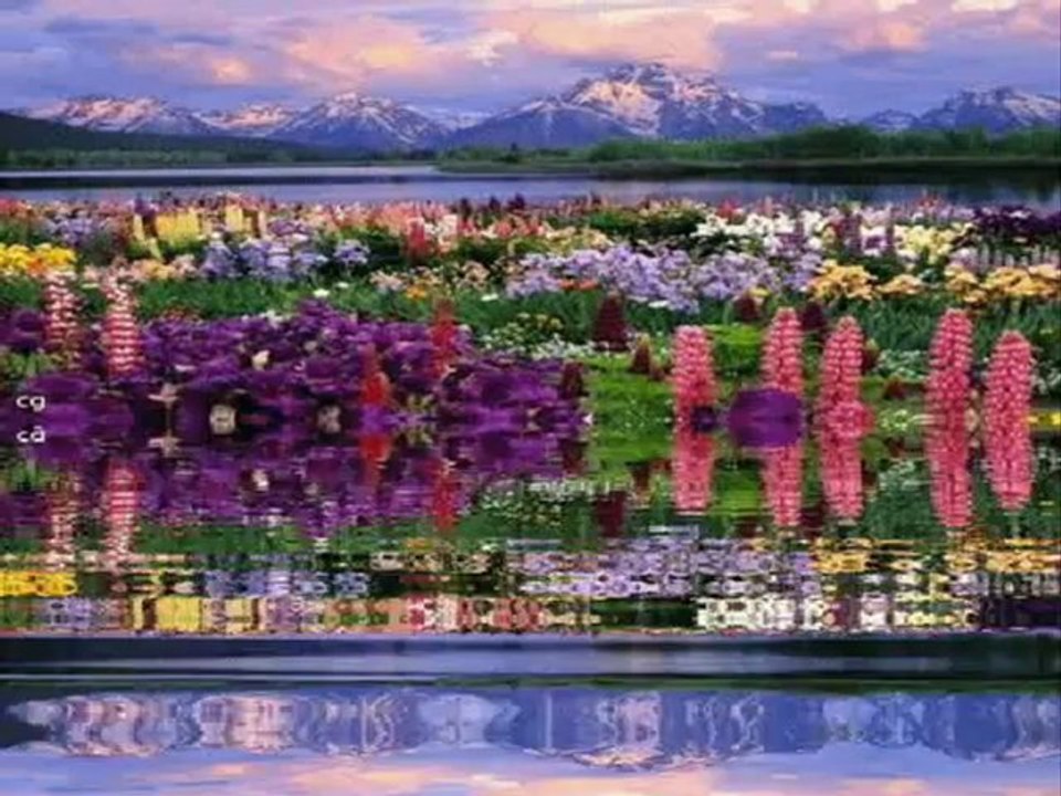 Farid Farjad Duygusal Fon Müziği