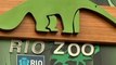Rio's Zoo Attempts To Keep Animals Cool In Severe Heat