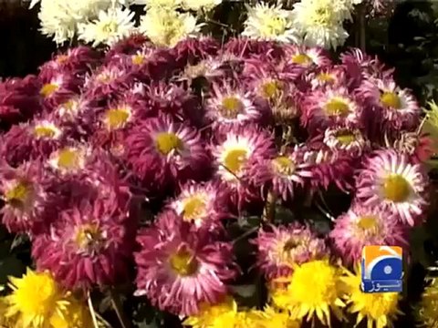 Geo Report- Flower Exhibition in Peshawar- 9th Dec 2011.mp4