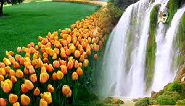 Cübbeli Ahmet Hoca mezhepleri kaldıracağını anlatıyor