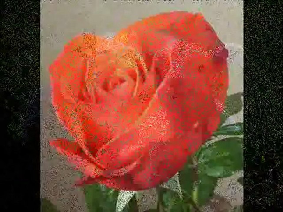 kürtçe ilahi dinle - http://www.ilahidinle.be/