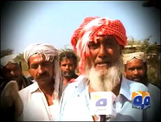 Geo Report-Donkey Catwalk-08 Dec 2011.mp4