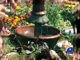 Geo Reports- 61st Flower Show Ends- 28 Feb 2012.mp4