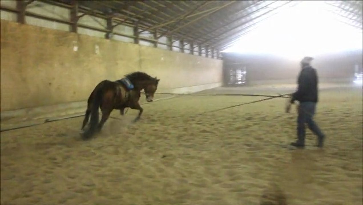 Funny et Annie