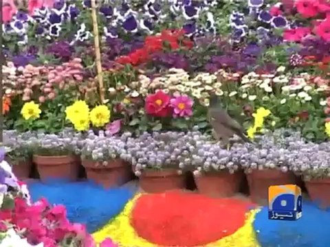 Geo Reports-Flower Exhibition In Peshawar-20 Apr 2012.mp4