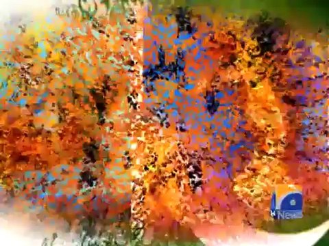 Geo Reports-Patriotic Artist In Karachi-23 Mar 2012.mp4