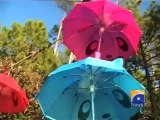 Geo report-Funky umbrellas-29 Nov 2011.mp4