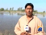 Geo report-Migrating birds- 24 Nov 2011.mp4