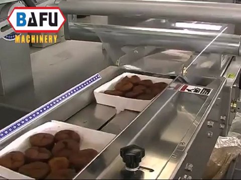 Máquina flow-pack,Flow pack machine,Equipamento Flow Pack