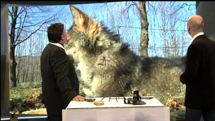 Espai Terra - dimecres 9 de gener