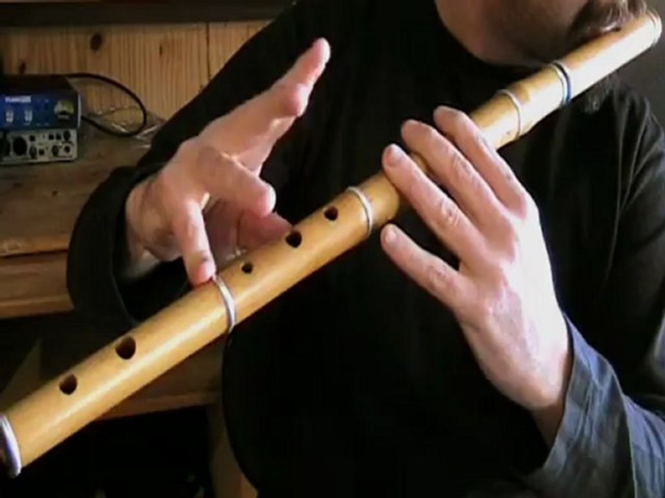 The Stolen Reel - Tutoriel de flûte traversière irlandaise - Tradschool