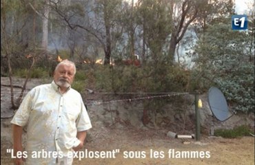 Incendies en Australie : "les arbres explosent"