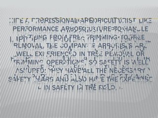 Why It Is Better to Hire a Professional for Tree Removal and Trimming