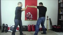 Triple Punch | Evolution Combat Methods