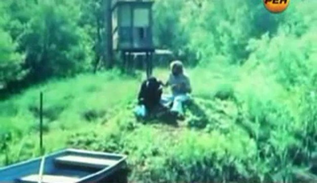 Живая тема. О чём говорят животные