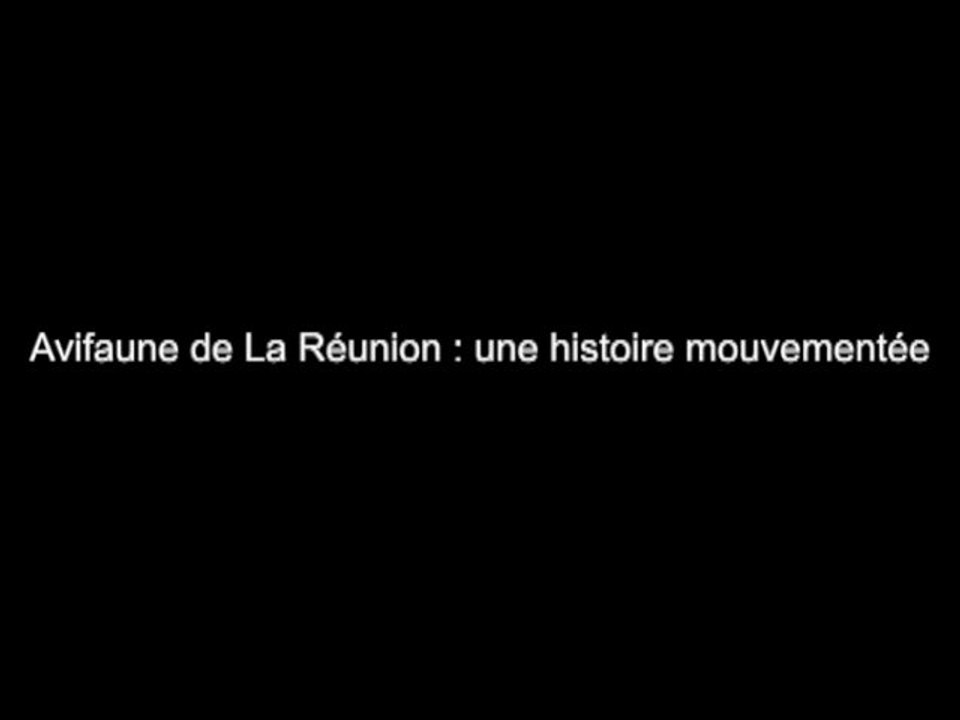 Avifaune de la Réunion - Une histoire mouvementée