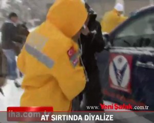 At sırtında diyaliz