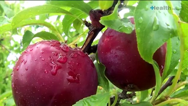 Can peaches and plums stave off obesity-related diseases like diabetes and heart attacks-.mp4