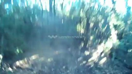 MTB Enduro Isola d'Elba 4