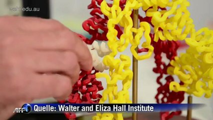 Durchbruch bei Diabetes-Forschung: Spritzen bald überflüssig?