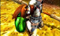 Monster Hunter 4 3DS - Univers et environnement - Nouveau Trailer