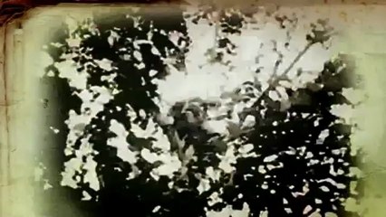 Le Monde selon Christophe Colomb