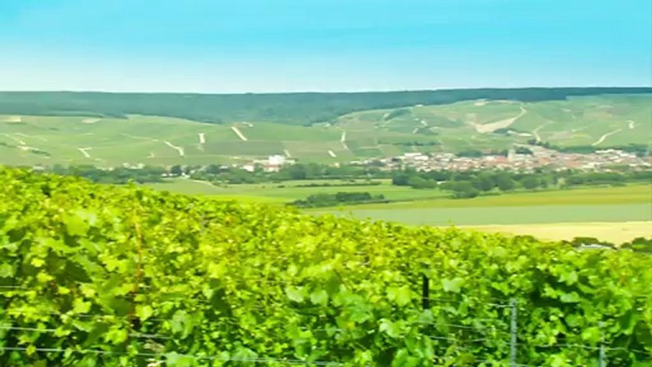 An_exceptional_alliance_GB