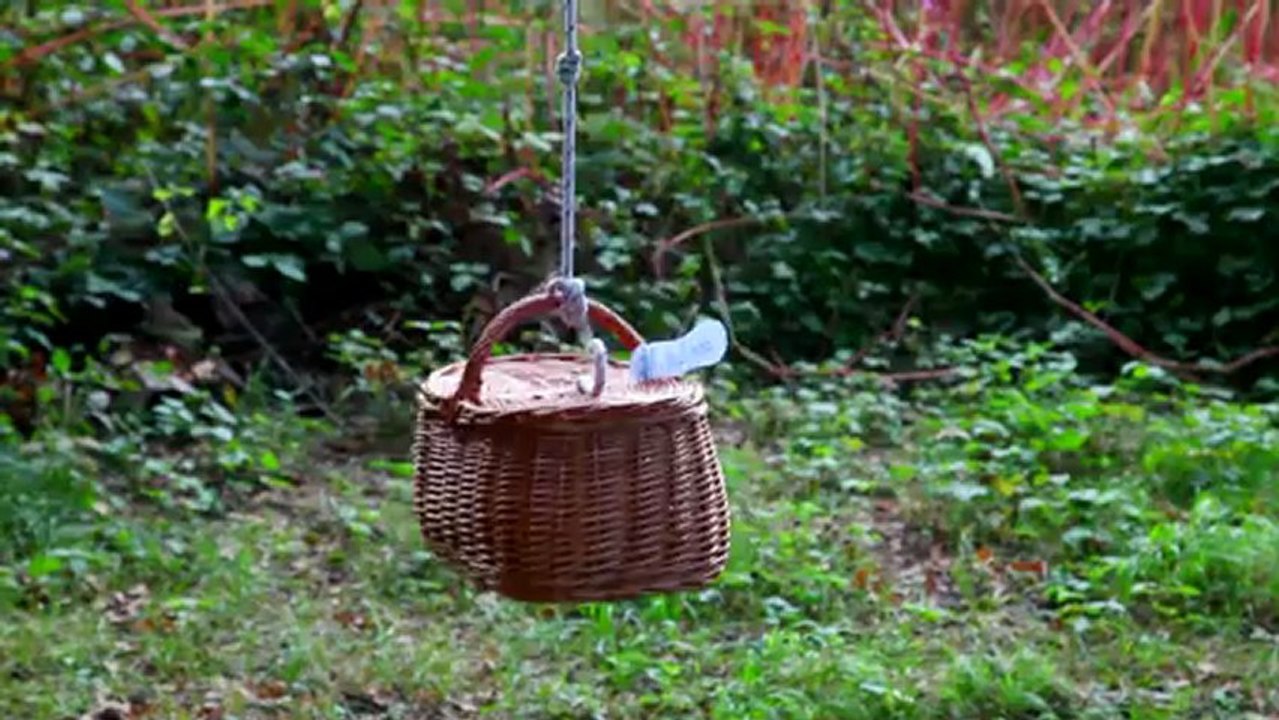 Cabanes dans les arbres et flottantes aux Cabanes des Grands Lacs - Une expérience inoubliable